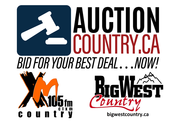 auctioncountry.ca